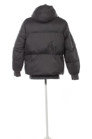 Pánska bunda  Tommy Hilfiger, Veľkosť XXL, Farba Sivá, Cena  234,95 €