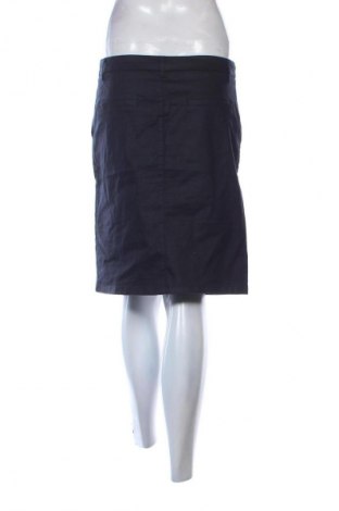 Sukně Caroll, Velikost L, Barva Modrá, Cena  309,00 Kč