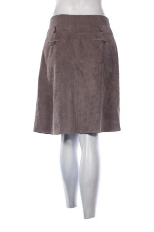 Sukňa Caroll, Veľkosť M, Farba Sivá, Cena  28,00 €