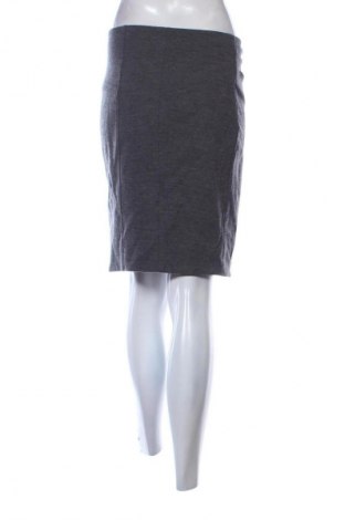 Rock Diane Von Furstenberg, Größe M, Farbe Grau, Preis € 56,15