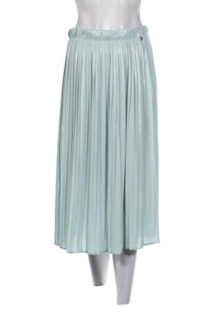 Rock Elisabetta Franchi, Größe S, Farbe Grün, Preis € 92,46