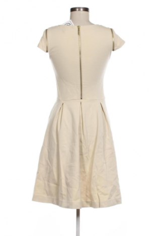 Kleid Armand Basi, Größe M, Farbe Beige, Preis € 42,00