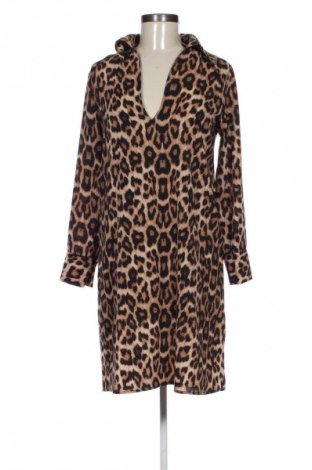 Kleid BSL, Größe XL, Farbe Mehrfarbig, Preis 25,00 €