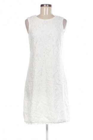 Kleid Betty Barclay, Größe M, Farbe Mehrfarbig, Preis € 26,99