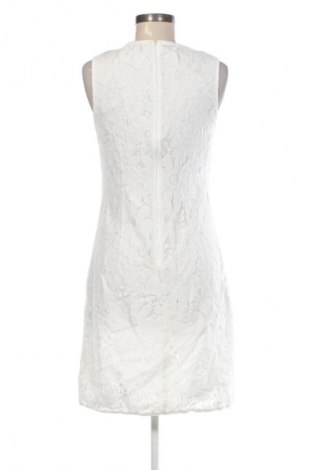 Kleid Betty Barclay, Größe M, Farbe Mehrfarbig, Preis € 26,99