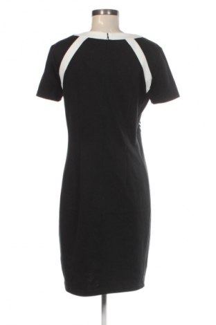 Kleid Betty Barclay, Größe L, Farbe Mehrfarbig, Preis € 30,99