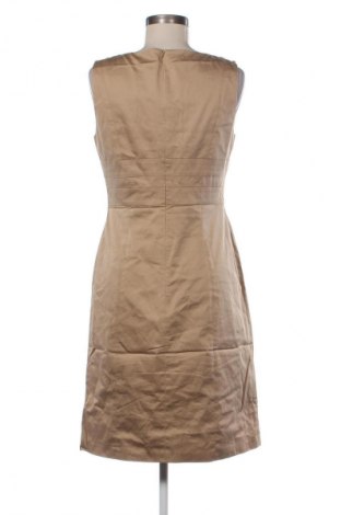 Kleid Betty Barclay, Größe M, Farbe Braun, Preis € 27,99