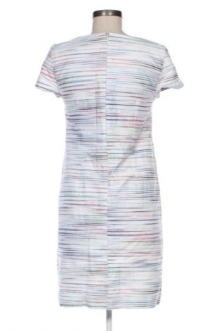 Kleid Caroll, Größe XL, Farbe Mehrfarbig, Preis 42,00 €