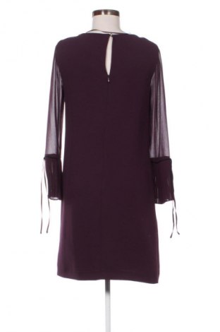 Kleid Esprit, Größe S, Farbe Lila, Preis € 31,65