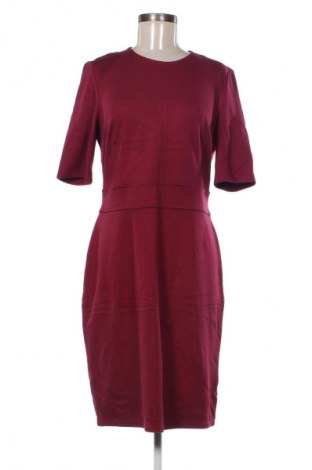 Kleid Esprit, Größe L, Farbe Lila, Preis € 15,99