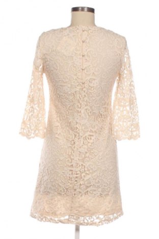 Φόρεμα H&M, Μέγεθος S, Χρώμα  Μπέζ, Τιμή 20,00 €