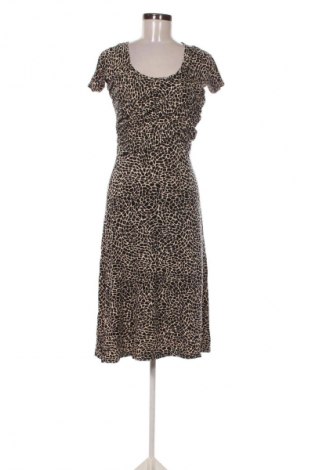 Kleid Minuet, Größe M, Farbe Mehrfarbig, Preis 25,00 €