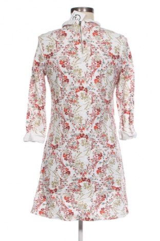 Kleid Next, Größe M, Farbe Mehrfarbig, Preis € 25,00