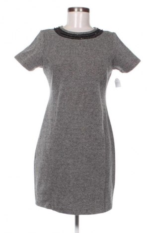 Kleid PTC, Größe L, Farbe Mehrfarbig, Preis € 28,00