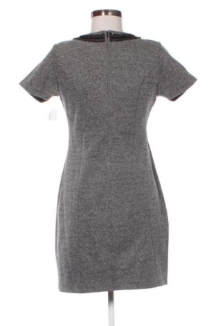 Kleid PTC, Größe L, Farbe Mehrfarbig, Preis € 28,00