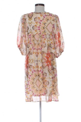 Kleid Papaya, Größe M, Farbe Mehrfarbig, Preis € 19,95