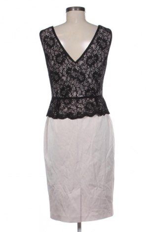 Kleid Phase Eight, Größe M, Farbe Mehrfarbig, Preis € 16,82