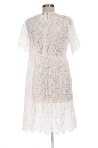 Kleid Pieces, Größe L, Farbe Ecru, Preis € 24,55