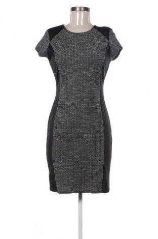 Kleid Quiz, Größe L, Farbe Mehrfarbig, Preis € 55,24