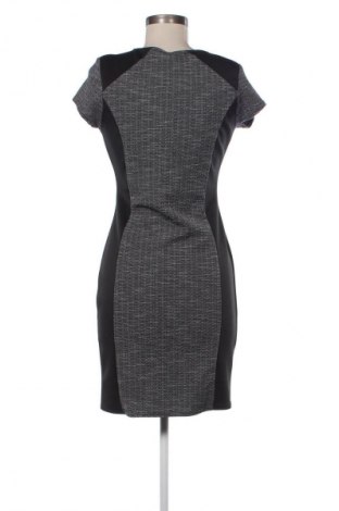 Kleid Quiz, Größe L, Farbe Mehrfarbig, Preis € 55,24