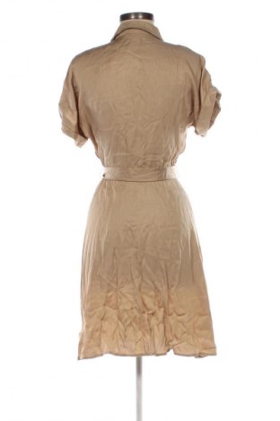 Kleid Ralph Lauren, Größe S, Farbe Braun, Preis € 101,00