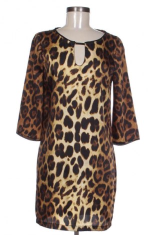 Kleid Zara, Größe M, Farbe Mehrfarbig, Preis € 13,81