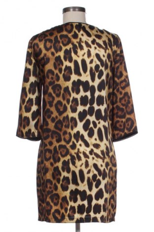 Kleid Zara, Größe M, Farbe Mehrfarbig, Preis € 13,81