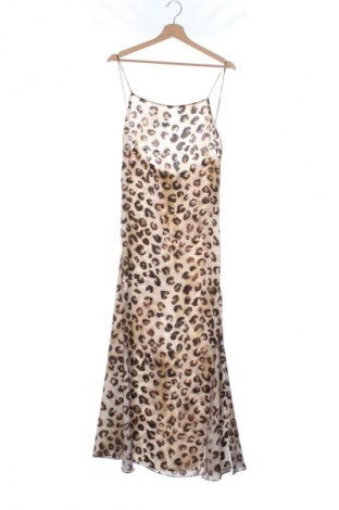 Kleid Zara, Größe XS, Farbe Mehrfarbig, Preis € 17,46