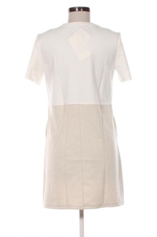 Kleid Zara, Größe S, Farbe Mehrfarbig, Preis € 32,00