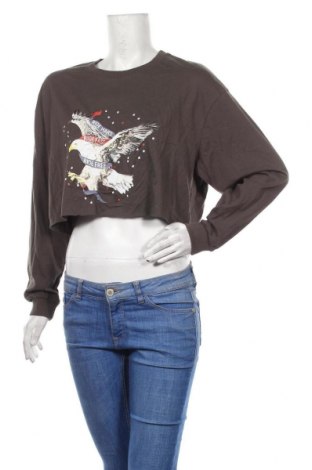 Γυναικεία μπλούζα Showpo, Μέγεθος M, Χρώμα Γκρί, 65% βαμβάκι, 35% πολυεστέρας, Τιμή 6,76 €