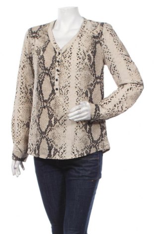 Γυναικεία μπλούζα Kays, Μέγεθος M, Χρώμα Πολύχρωμο, Τιμή 4,33 €