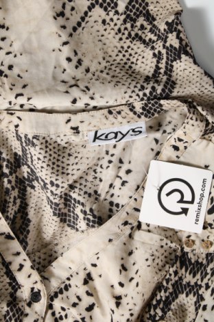Γυναικεία μπλούζα Kays, Μέγεθος M, Χρώμα Πολύχρωμο, Τιμή 21,65 €
