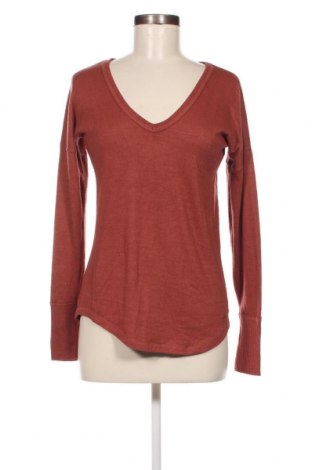 Γυναικεία μπλούζα Abercrombie & Fitch, Μέγεθος XS, Χρώμα Καφέ, Τιμή 17,44 €