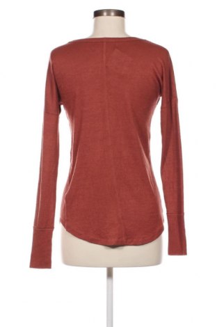 Damen Shirt Abercrombie & Fitch, Größe XS, Farbe Braun, Preis € 17,44