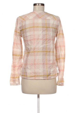 Damen Shirt Burton of London, Größe M, Farbe Mehrfarbig, Preis 2,34 €
