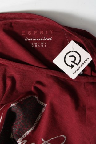 Γυναικεία μπλούζα Esprit, Μέγεθος M, Χρώμα Κόκκινο, Τιμή 2,97 €
