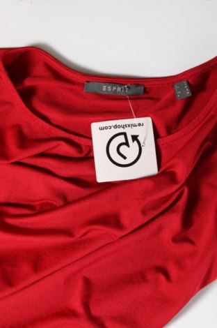 Γυναικεία μπλούζα Esprit, Μέγεθος S, Χρώμα Κόκκινο, Τιμή 3,27 €