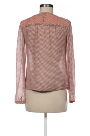 Damen Shirt Mexx, Größe XS, Farbe Mehrfarbig, Preis € 2,67