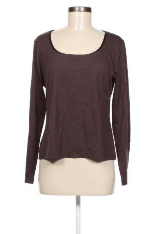 Γυναικεία μπλούζα More & More, Μέγεθος XL, Χρώμα Καφέ, Τιμή 2,52 €