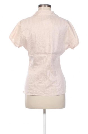 Γυναικεία μπλούζα Motivi, Μέγεθος XL, Χρώμα Πολύχρωμο, Τιμή 6,28 €
