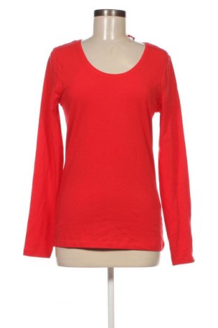 Γυναικεία μπλούζα Nkd, Μέγεθος XL, Χρώμα Κόκκινο, Τιμή 4,70 €