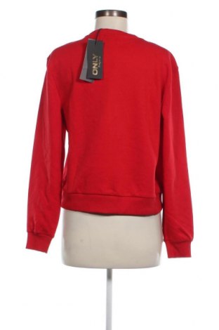 Damen Shirt ONLY, Größe M, Farbe Rot, Preis 18,49 €