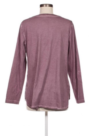 Damen Shirt Sheego, Größe M, Farbe Lila, Preis 3,91 €