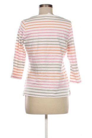 Γυναικεία μπλούζα Walbusch, Μέγεθος M, Χρώμα Πολύχρωμο, Τιμή 5,89 €