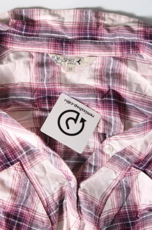 Γυναικείο πουκάμισο M&Co., Μέγεθος M, Χρώμα Πολύχρωμο, Τιμή 12,83 €