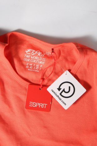 Γυναικείο t-shirt Esprit, Μέγεθος XS, Χρώμα Πορτοκαλί, Τιμή 12,86 €