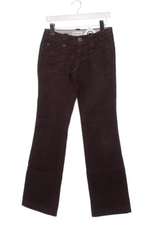 Pantaloni de velvet de femei Esprit de Corp, Mărime XS, Culoare Maro, Preț 13,35 Lei