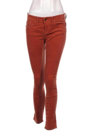 Pantaloni de velvet de femei Rich & Royal, Mărime S, Culoare Maro, Preț 43,13 Lei