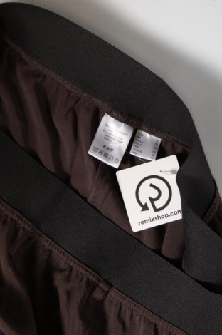 Damenhose, Größe XXL, Farbe Braun, Preis € 23,71