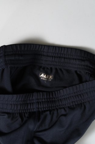 Дамски панталон ALEX, Размер L, Цвят Син, Цена 6,96 лв.